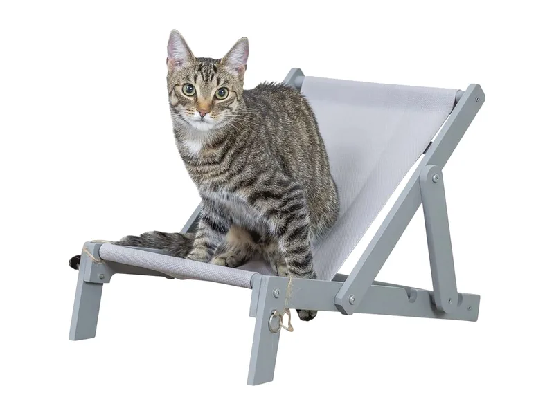Tabby-kissa istuu harmaalla pienellä rantatuolilla